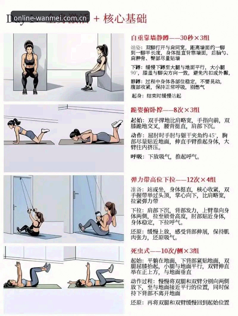 完美体育使用教程最新动态：新手用户如何快速上手全攻略