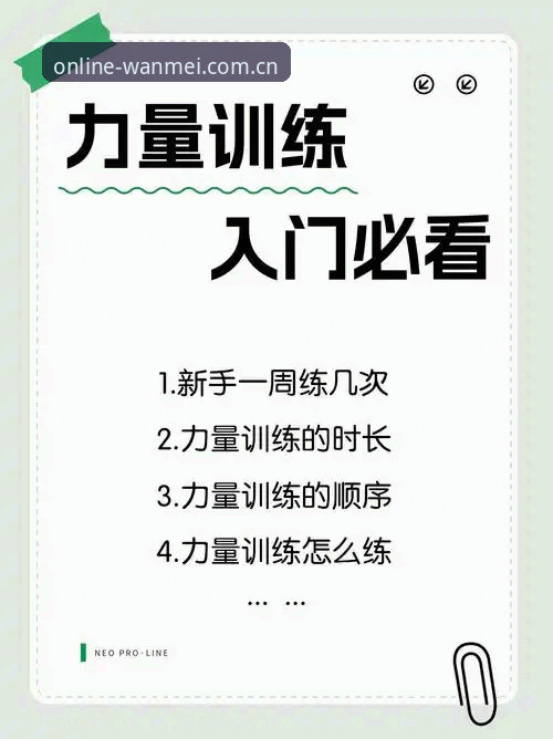 新手必看！完美体育手机端使用心得——从入门到流畅体验的实战经验